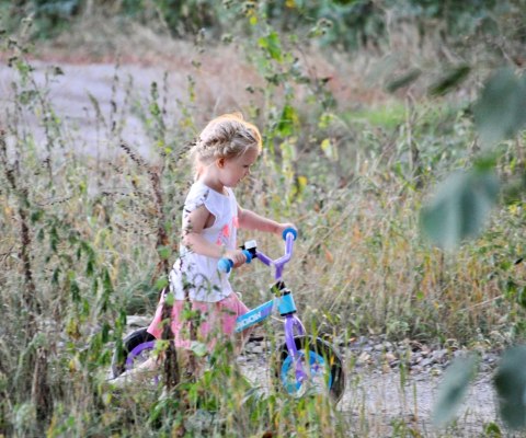 Rowerek Biegowy Dragon Air Pink Milly Mally