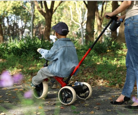 Qplay Rowerek Trójkołowy Elite Pro Red Qplay