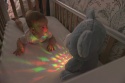 Milly Mally Zabawka pluszowa z Projektorem Szumiś Milly Bear Blue