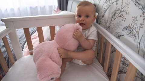 Milly Mally Zabawka pluszowa z Projektorem Szumiś Milly Bear Pink Milly Mally Zabawka pluszowa z Projektorem Szumiś Milly Bear Pink